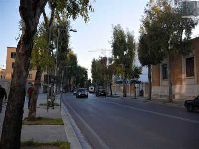 Continuiamo a passeggiare sull'alberata viale Orazio Flacco, stretti sulla destra dal muro perimetrale del Policlinico